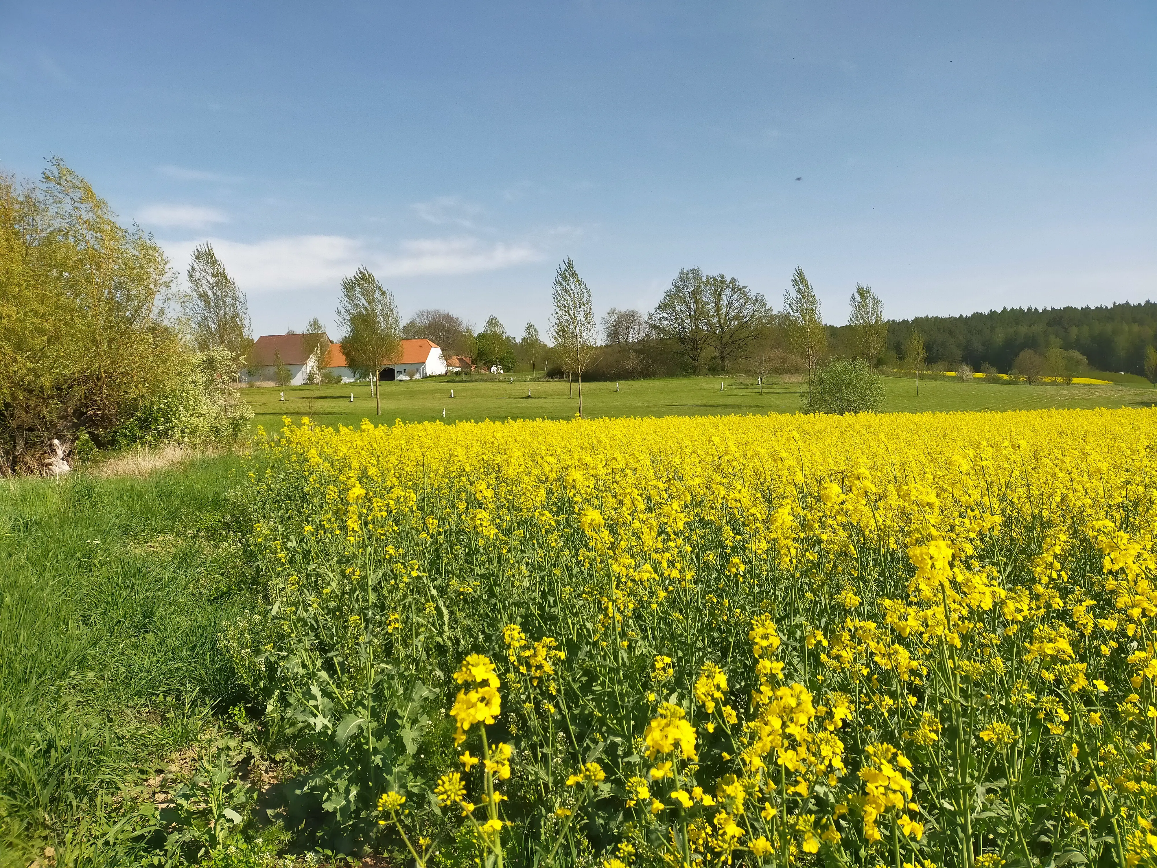 Campingplatz mit super Lage zu verkaufen, Schwimmbecken, Bar, Ferienwohnungen, Tschechien